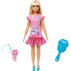 Barbie my first met kat