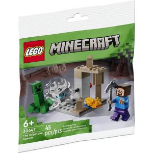 LEGO 30647 Minecraft De Druipsteengrot polybag 