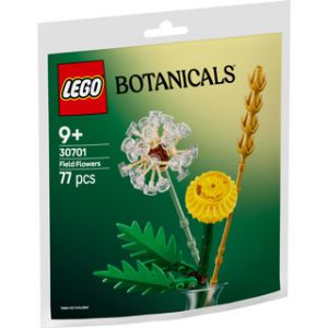 LEGO 30701 Botanicals Veldbloemen 
