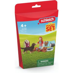 Schleich HORSE CLUB - Overnachting bij Hannah - 42748 