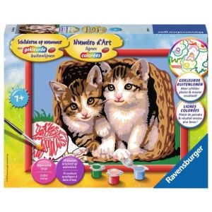 Schilderen op nummer Katjes in mand