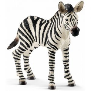 Zebra veulen