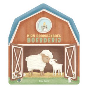 Boek Little Dutch Mijn Doorkijkboek 