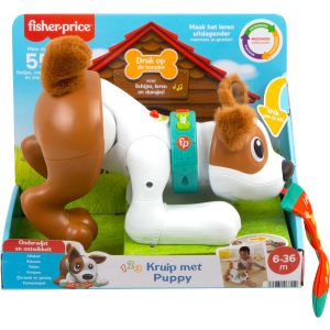 Fisher-Price Kruip met Puppy - Babyspeelgoed met Licht en Geluid 