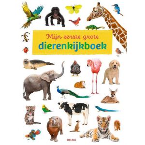 Mijn eerste grote dieren kijkboek