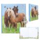Miss melody dagboek met stickers