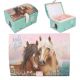  Miss Melody grote sieradendoos met code en geluid