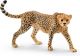 Schleich WILD LIFE - Jachtluipaardwijfje - 14746 