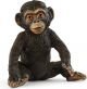 Schleich WILD LIFE - Baby Chimpansee - 14884 