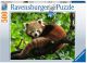  Ravensburger Schattige rode panda 500 stukjes 