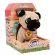 Pluchiez blaffende franse bulldog frankie met uitlaten