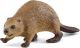  schleich WILD LIFE - Bever - 14855 