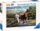 Puzzel 500 stuks loving longhorns