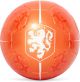 Voetbal KNVB metallic