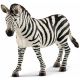 Zebra merrie