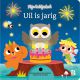 Boek Uil Is Jarig Lichtjesboek 
