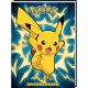 Vriendenboek pokemon