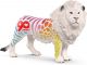 Schleich COLLECTORS - Leeuw 90 years edition - 72264 